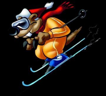http://www.google.com/images/srpr/donkey-slash-ski-school-logo3w.png
